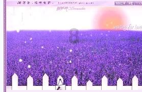 长汀南禅寺内观报名网2023游戏画面